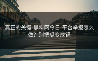 真正的关键-黑料网今日-平台举报怎么做？别把瓜变成锅