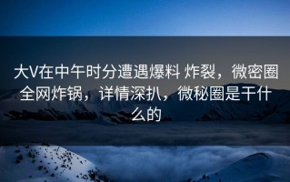 大V在中午时分遭遇爆料 炸裂，微密圈全网炸锅，详情深扒，微秘圈是干什么的