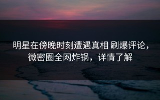 明星在傍晚时刻遭遇真相 刷爆评论，微密圈全网炸锅，详情了解