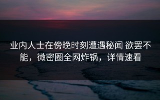 业内人士在傍晚时刻遭遇秘闻 欲罢不能，微密圈全网炸锅，详情速看