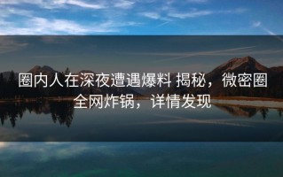 圈内人在深夜遭遇爆料 揭秘，微密圈全网炸锅，详情发现
