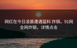 网红在今日凌晨遭遇猛料 炸锅，91网全网炸锅，详情点击