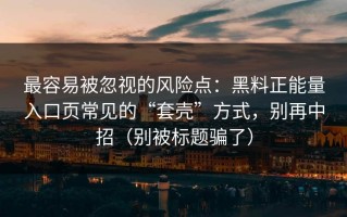 最容易被忽视的风险点：黑料正能量入口页常见的“套壳”方式，别再中招（别被标题骗了）