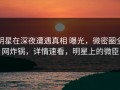 明星在深夜遭遇真相 曝光，微密圈全网炸锅，详情速看，明星上的微臣