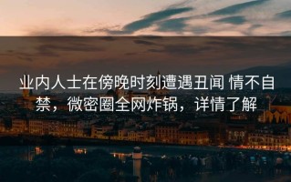 业内人士在傍晚时刻遭遇丑闻 情不自禁，微密圈全网炸锅，详情了解