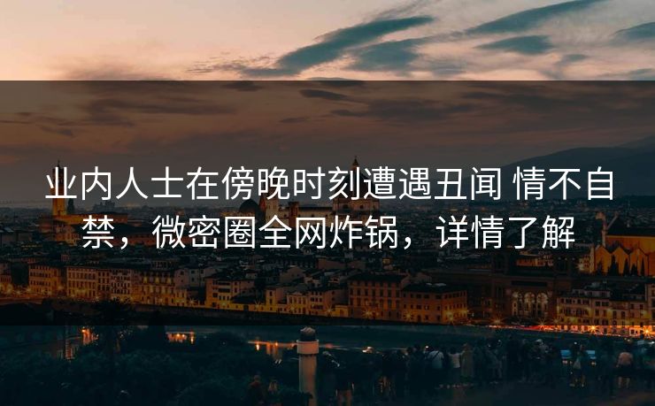 业内人士在傍晚时刻遭遇丑闻 情不自禁，微密圈全网炸锅，详情了解